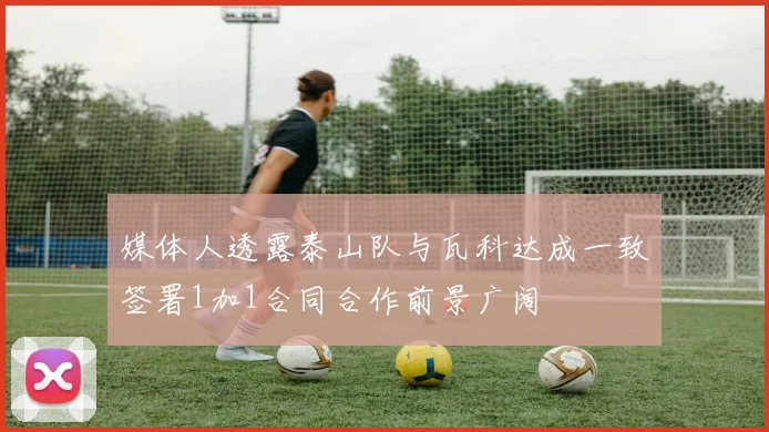 媒体人透露泰山队与瓦科达成一致签署1加1合同合作前景广阔